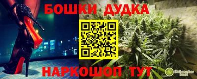 прущие крисы Дубна