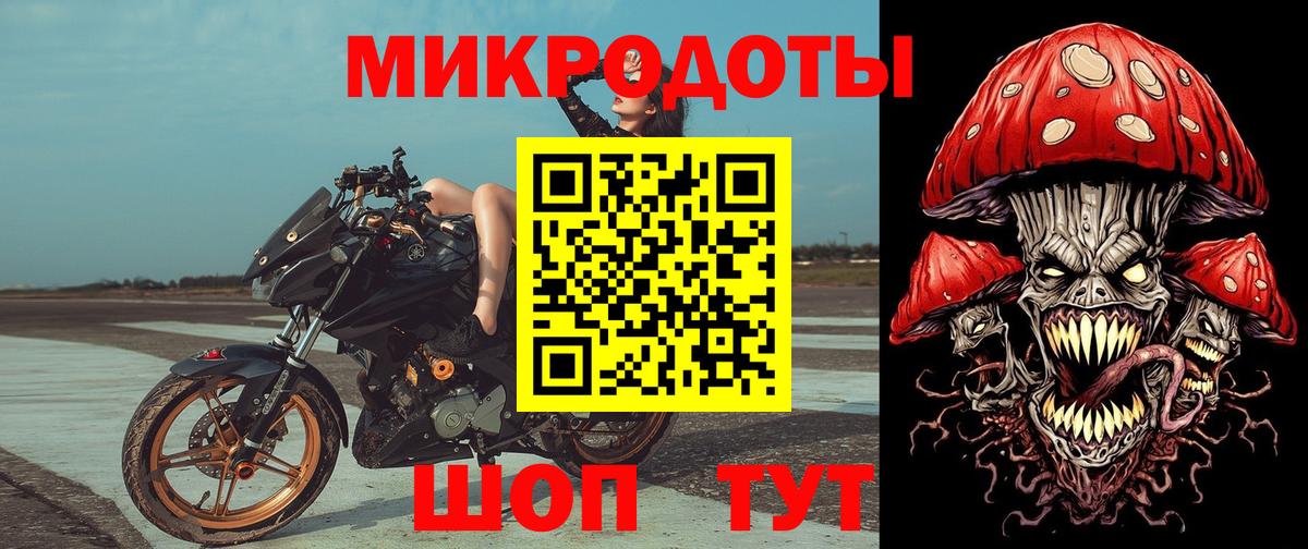 Красноярск  Галлюциногенные грибы Psilocybe  Вход с VPN 